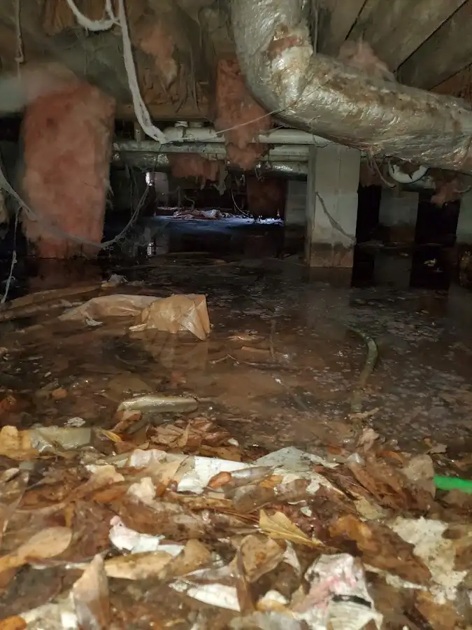 Crawl space flood assessment for Leak Detection & Repair in Kinnelon