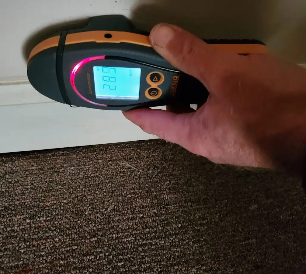 Moisture detection at baseboard during Sewage Cleanup & Sanitation in Kinnelon